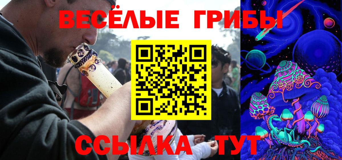 Галлюциногенные грибы Cubensis  Псилоцибиновые грибы GOLDEN TEACHER  Вход с VPN  Белебей 