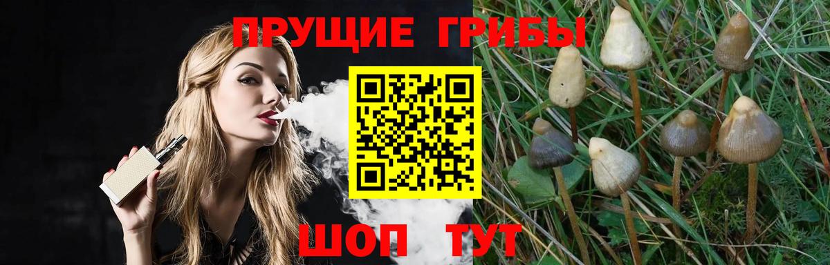 Галлюциногенные грибы Magic Shrooms Белебей